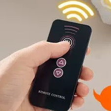 Remote Controller